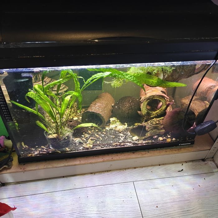 Akwarium Aquastar octopus 75i  + dwa filtry