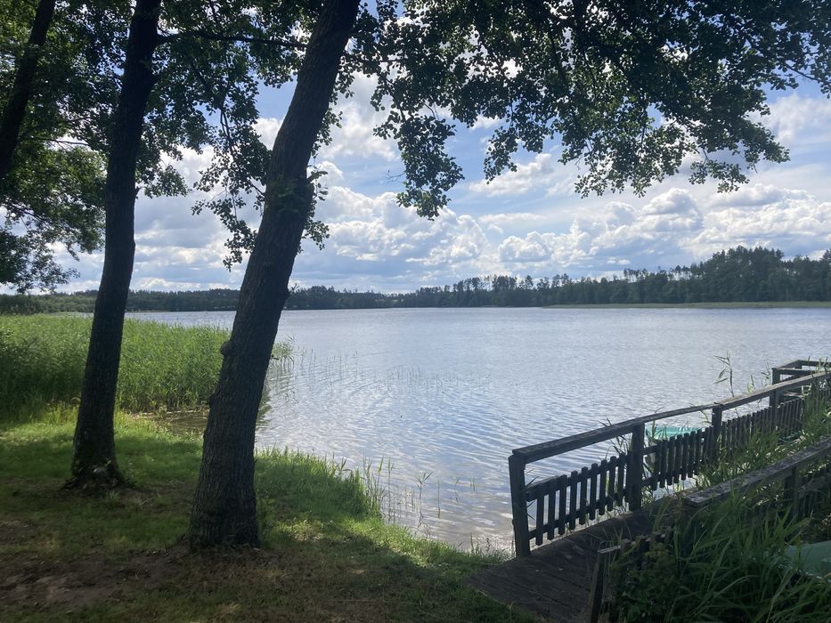 Wynajme dzialki nad jeziorem - Widok 5