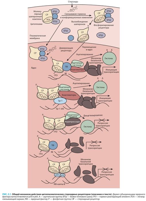 Репродуктивная эндокринология Йена и Джаффе. 2022 Гинекология. Акушер