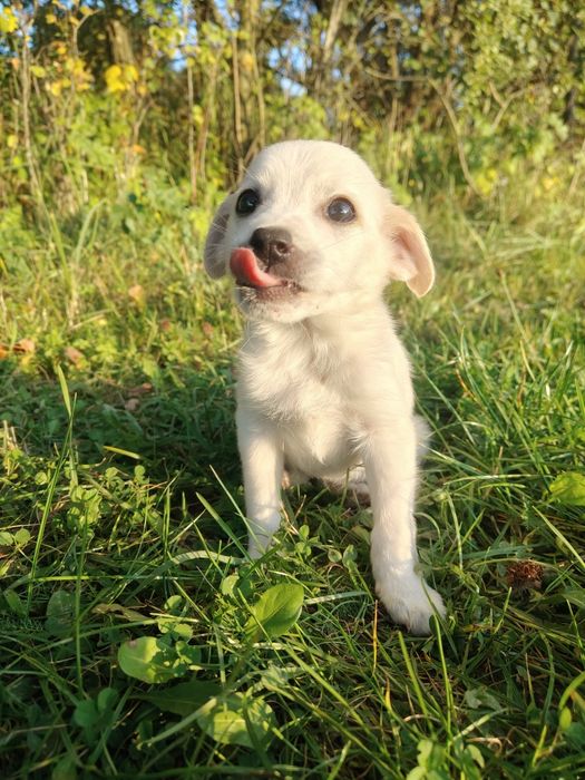 Na Wschodzie nie czeka mnie nic... Oprócz budy