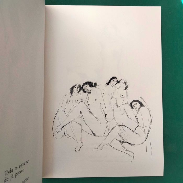 O Corpo Iluminado - David Mourão-Ferreira / Francisco Simões