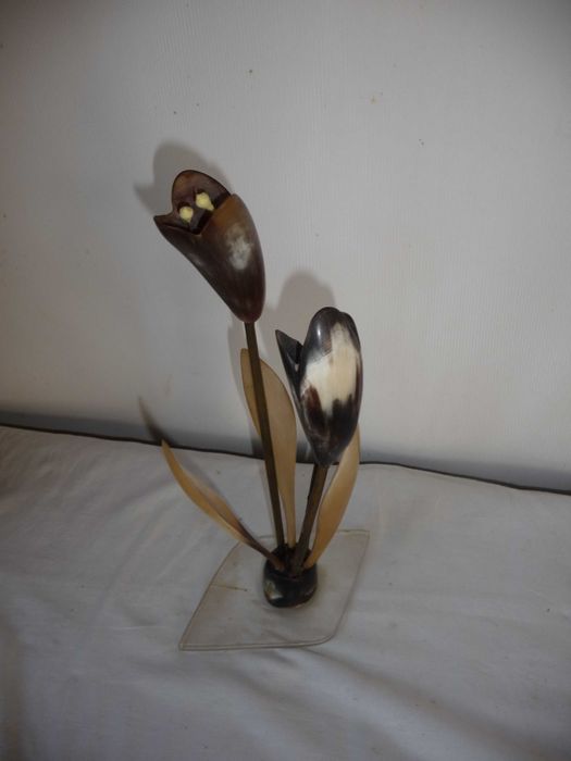 Цветы тюльпаны коровий рог сувенир сувенір квіти ріг