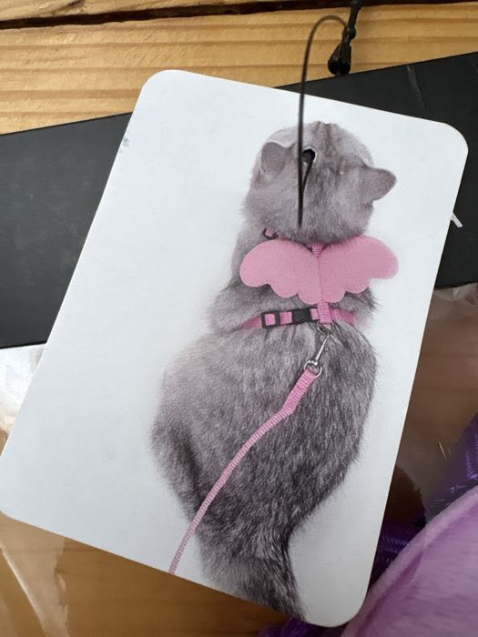 повідець для кота