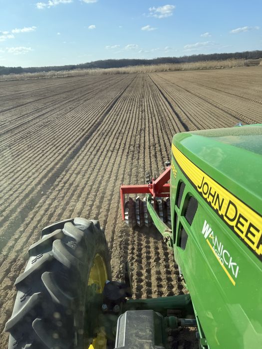 Siew cebuli . Usługowy. Usługa.