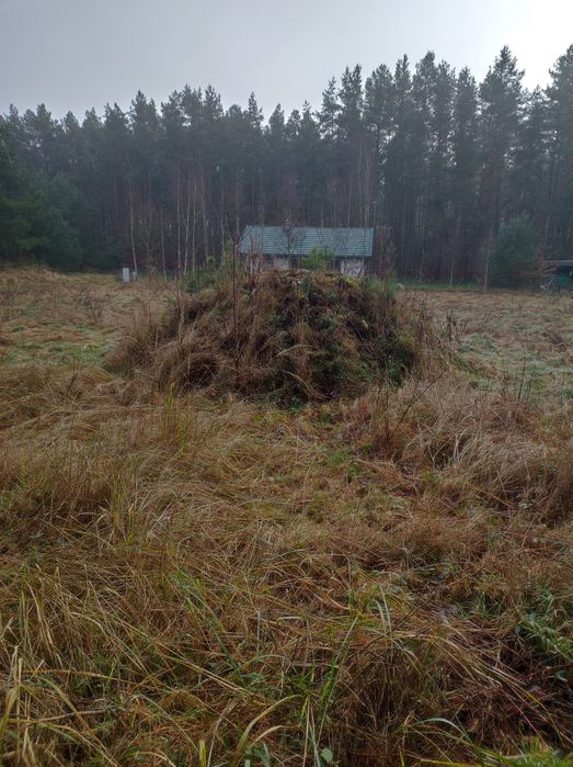 Czyszczenie działek zachodniopomorskie