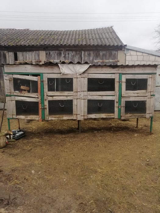 Klatka dla królików