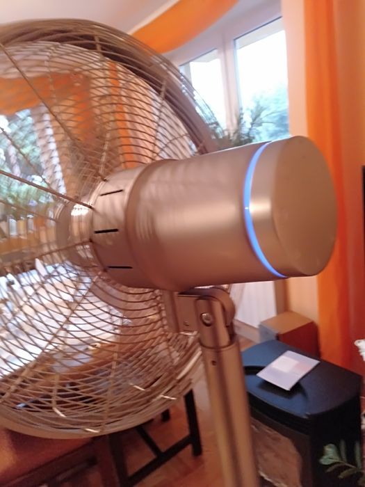 Duży wentylator Klarstein 170cm