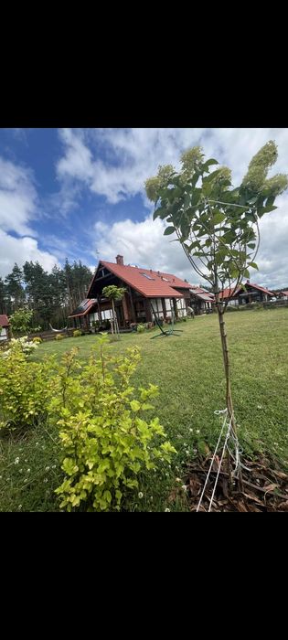 Domek nad Jeziorem, Kaszuby, Bory Tucholskie, wakacje