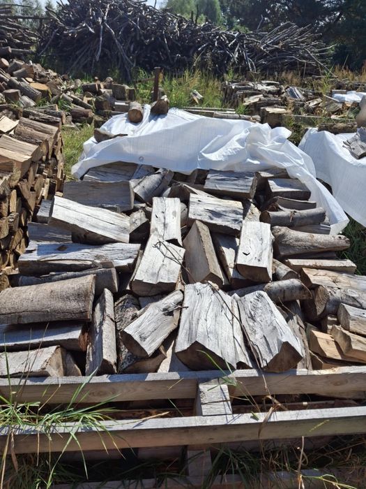 Drewno opałowe buk , dąb