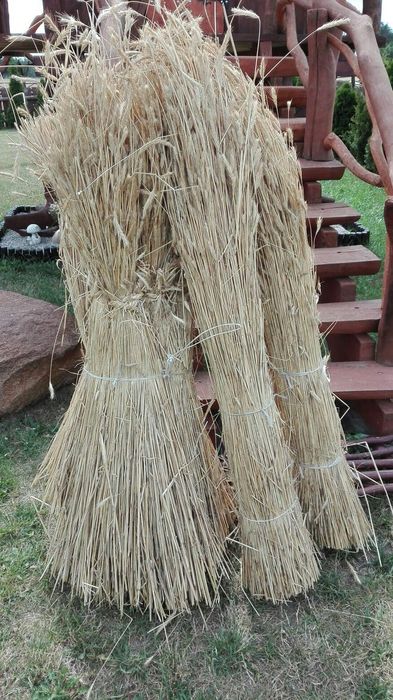 Słoma żytnia prosta