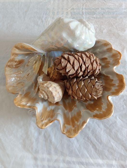 Ваза ракушка. Новая