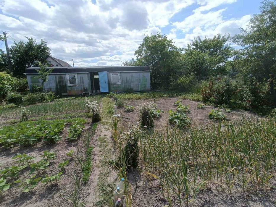 Продам дачу Березанка, "Віраж"