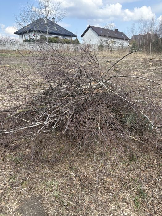 Gałęzie do oddania