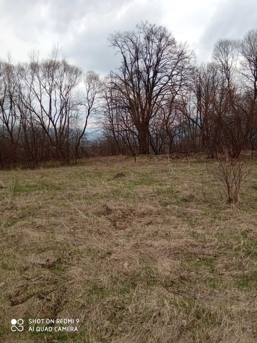 Земельна ділянка у Карпатах