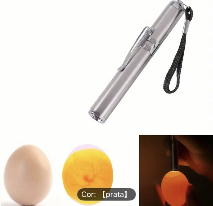 Ferramenta essencial para monitorar o desenvolvimento dos ovos