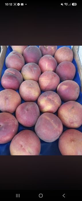 Caixas com deliciosos pessegos para entregas