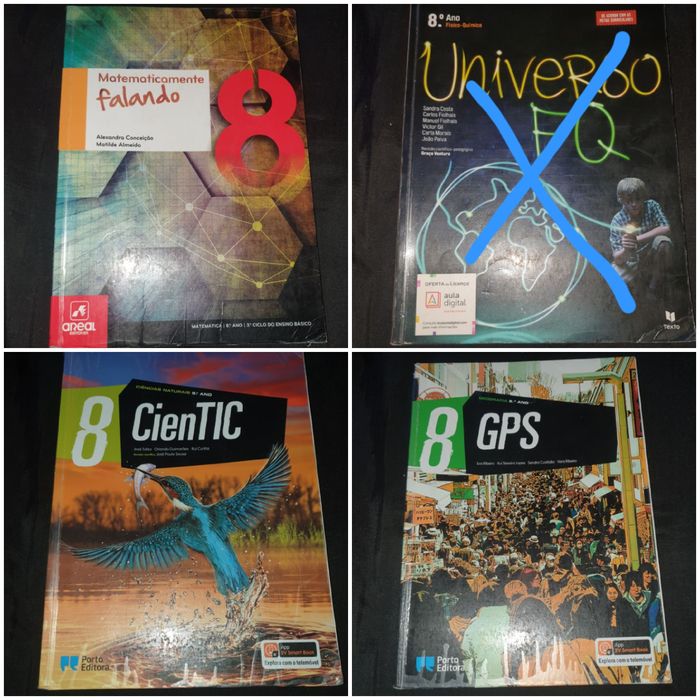 Manuais/ livros escolares 8° ano