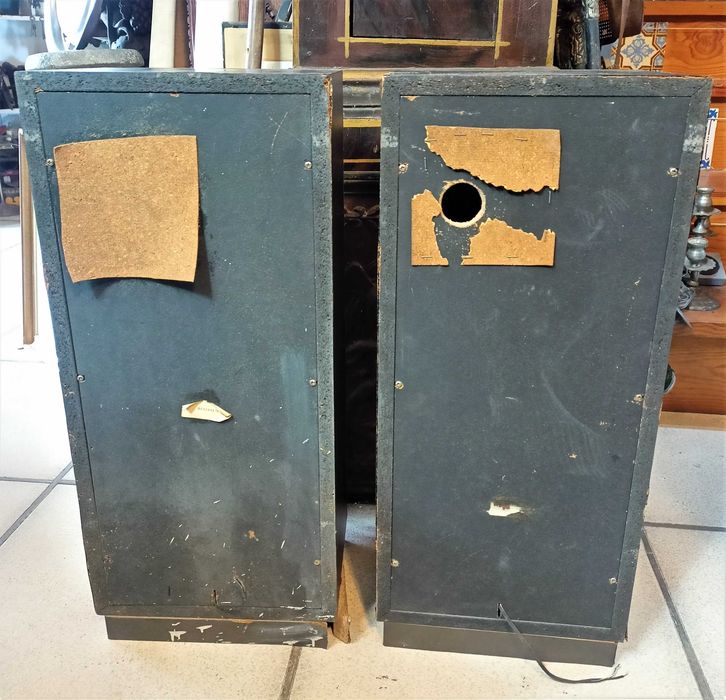 Par de Colunas 80W