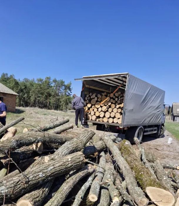 Мінімальні ціни на дубові дрова без передплат. Доставка. (10-20 м3)