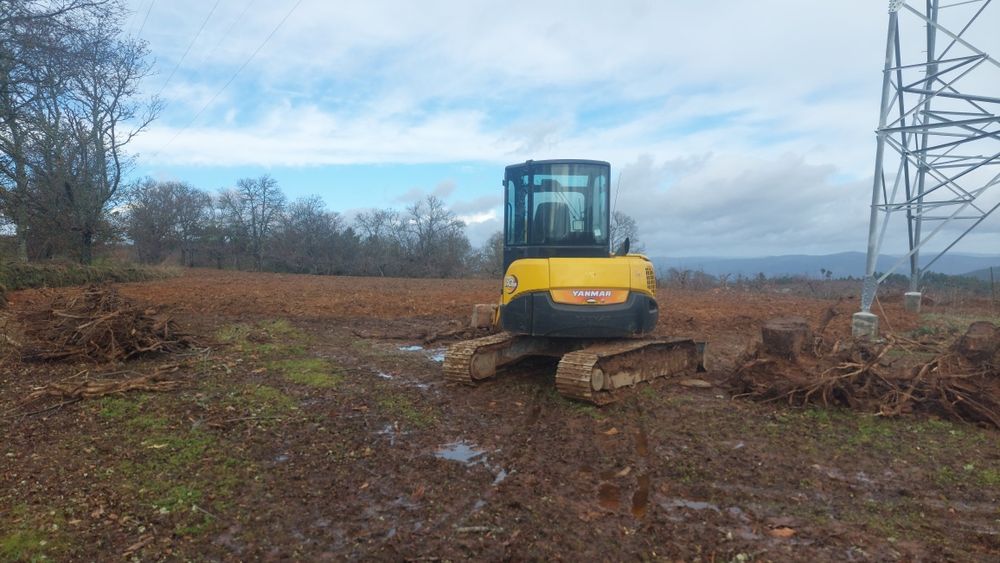 Mini Giratoria Yanmar VIO55