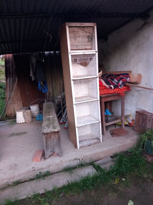 Gaiolas para venda