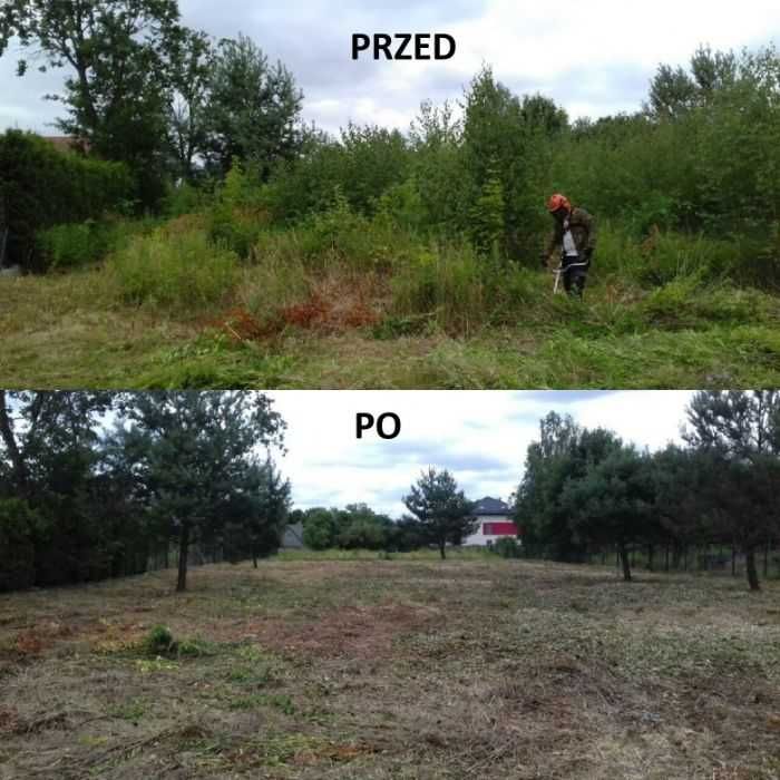 Wycinka Drzew Pielęgnacja Ogrodów
