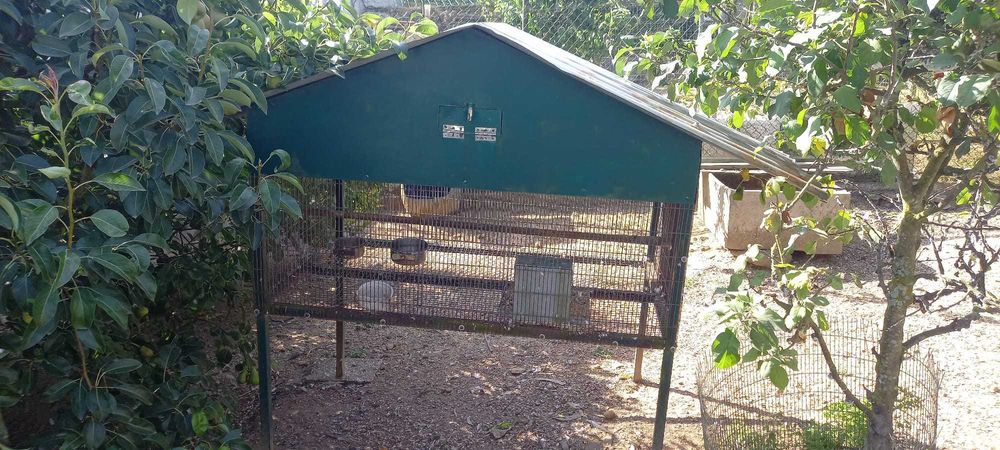 Viveiros para pássaros