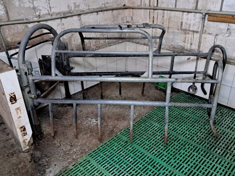 Kojec porodowy dla macior porodówka