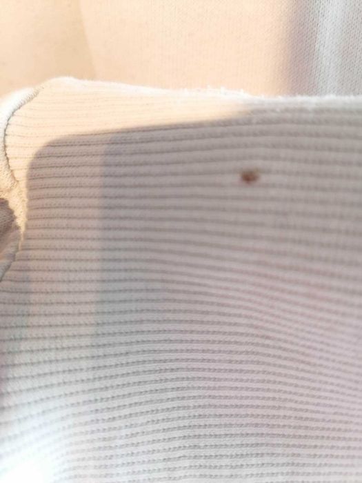 Męska biała bluza z różami