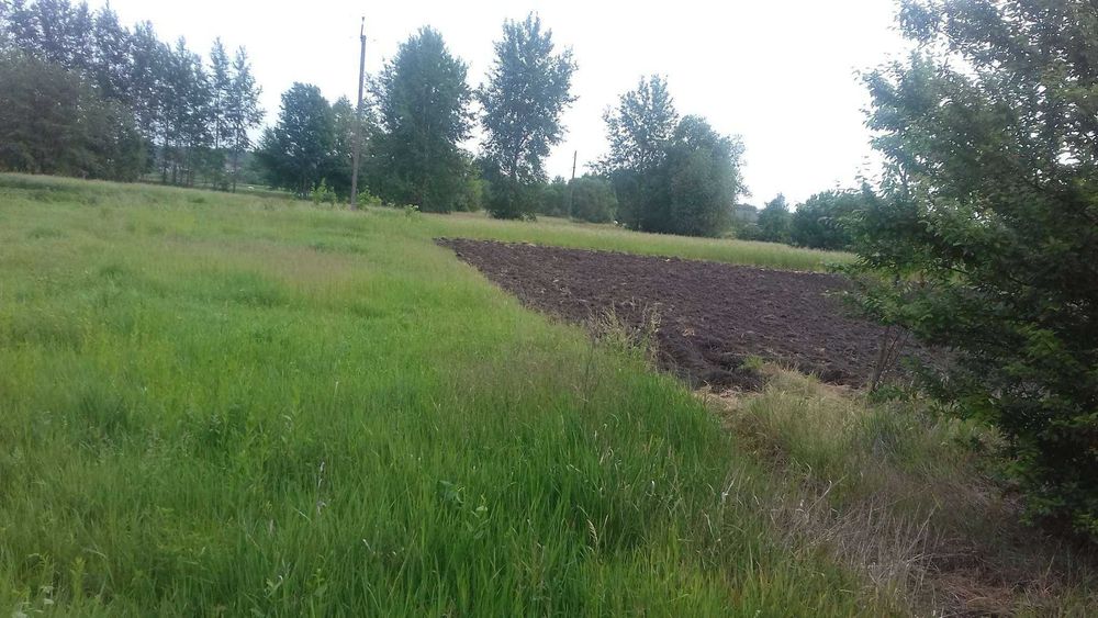 Продам СВІЙ будинок з ділянкою 33 сотки в с. Логвин, Київська область - View 4
