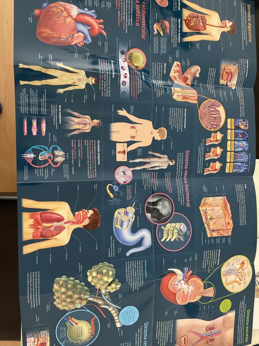 Caderno de Atividades Ciências Naturais 9 ano