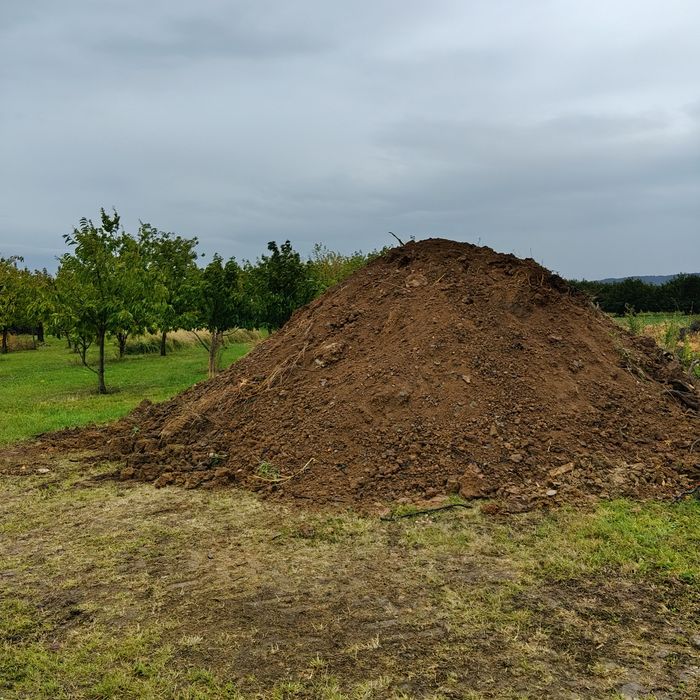 Oddam ziemię za darmo.
