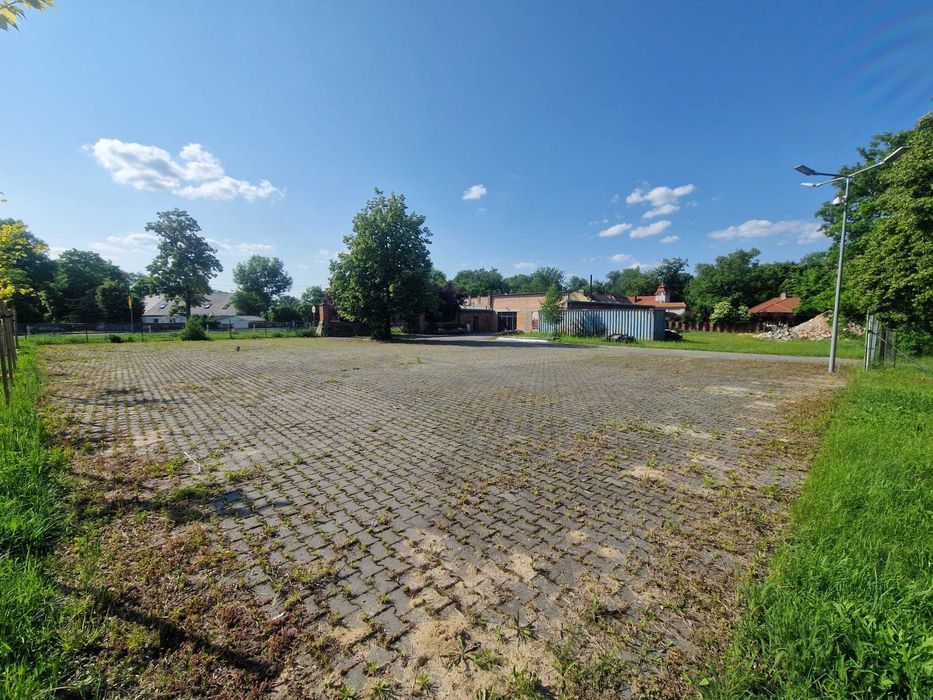 plac/hale na wynajem JAROGNIEWICE