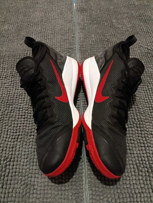 Баскетбольні кросівки Nike LeBron Zoom Witness II, 48.5 розмір.