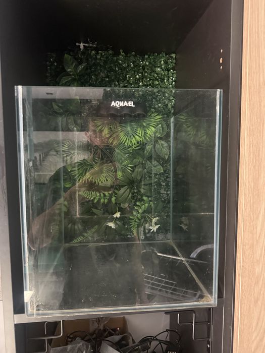 Sprzedam akwarium AQUAEL A 49L KOSTKA 35x35x40cm