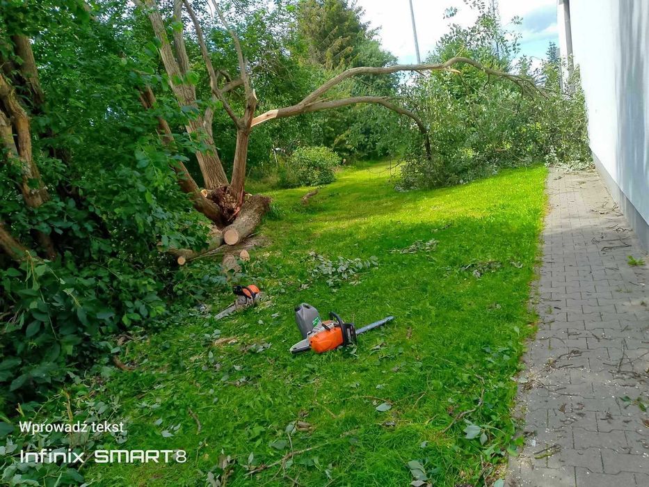 Karczowanie działek, koszenie, cięcie żywopłotów, drzew, wertykulacja