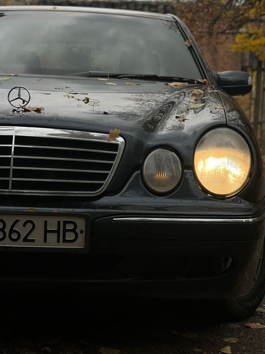 Продам живий  w210