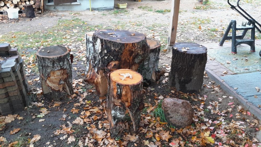 Stół ogrodowy z pieńków