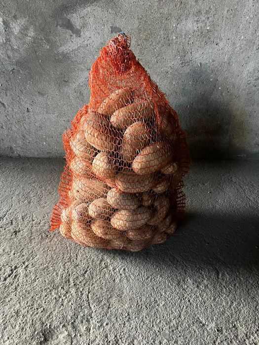 Ziemniaki jadalne Soraya, Vineta, Quenn Anna. Dowóz do klienta gratis