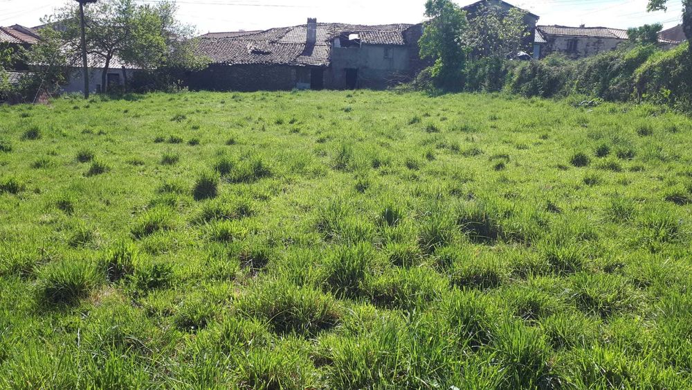 Casa rústica - Travanca - Vinhais (Trás-os-Montes)