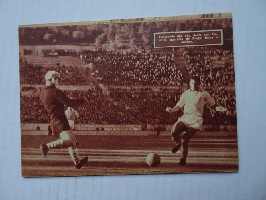 Revista Ídolos do Desporto nº 5 - Coluna - O Homem das 5 selecções