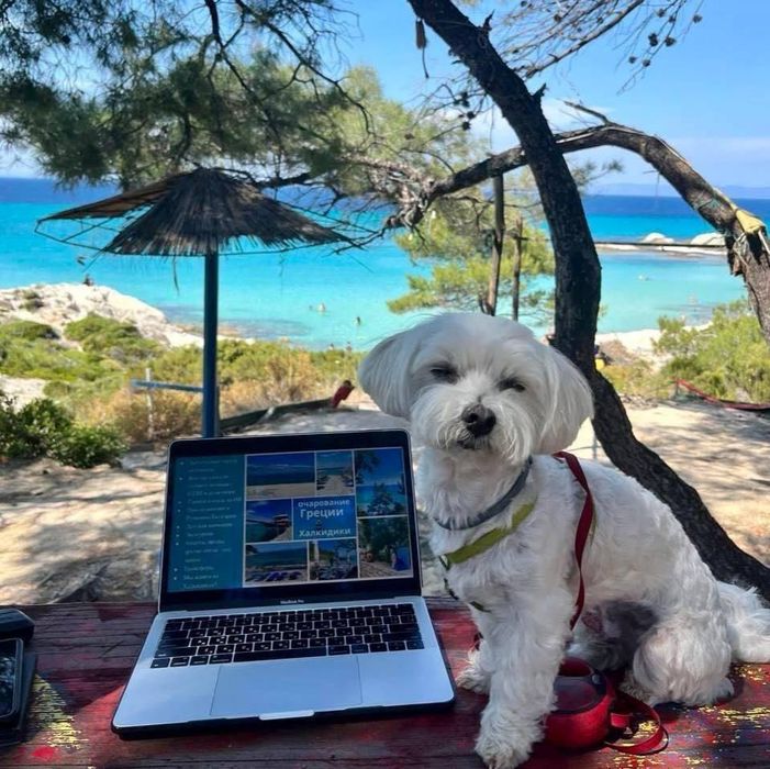 Передержка! Посижу с Вашим! питомцем.