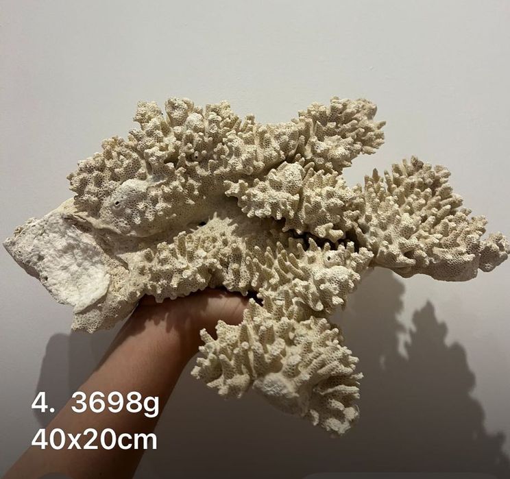 Ozdoba akwariowa (terrarium) nr4