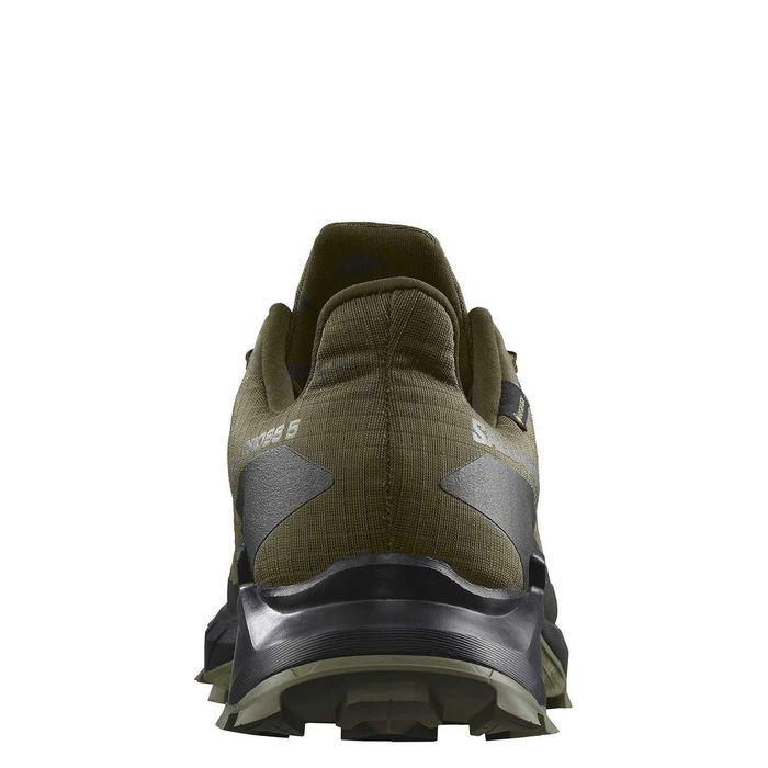 Чоловічі кросівки SALOMON  Alphacross 5 GTX (473103)