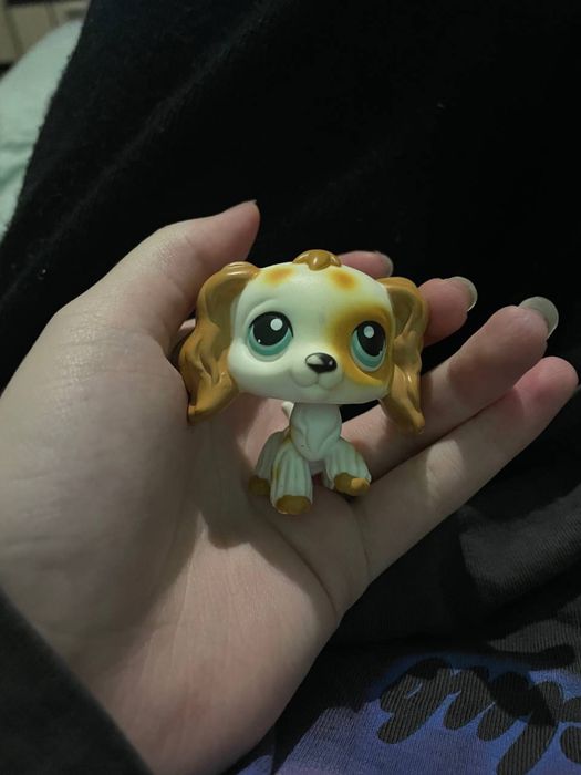 Обмін лпс lps littlest pet shop коллі кокер на стоячка такса кокер ...