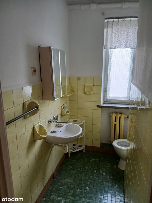 Zdjęcie 6