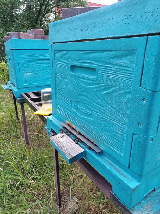 Вулик "Бджоляр " 12 рамковий, з ППУ.