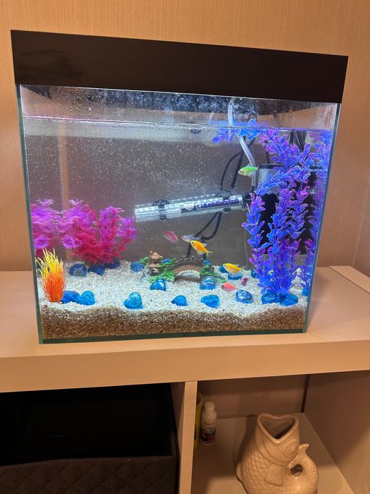 Продаю акваріум 35 літрів