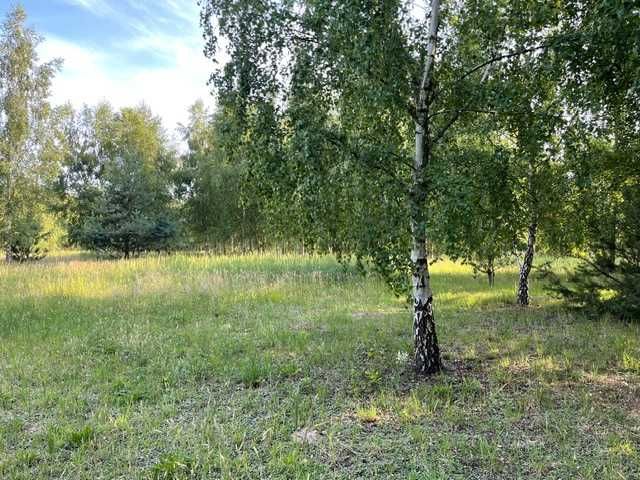 Działka budowlana 1500 m2 WZ media Cempkowo koło Płońska