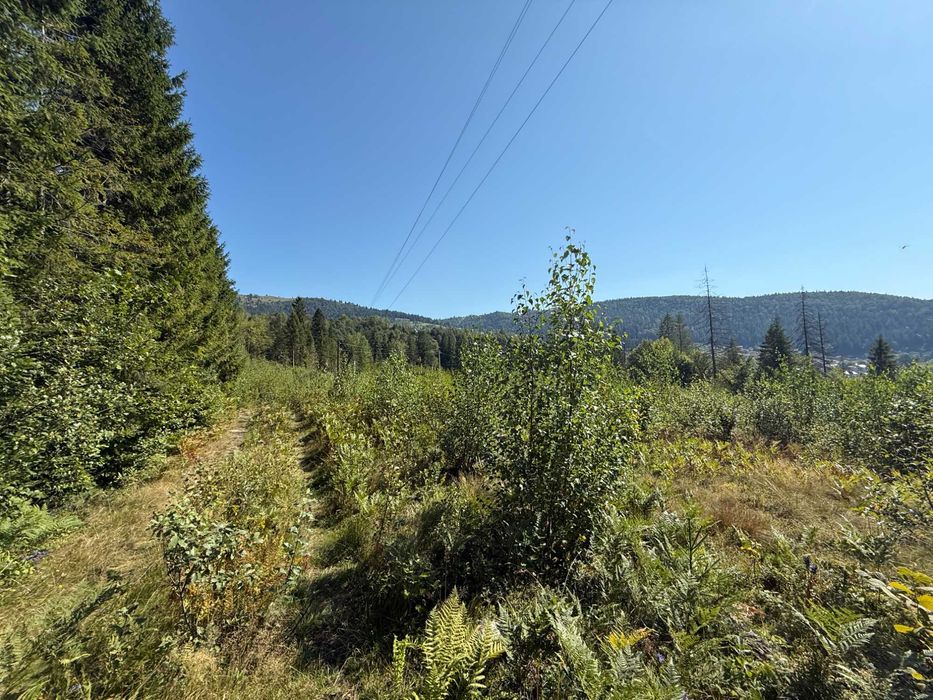 Земельна ділянка 130 соток, м.Яремче (Хижки), поділ від 0,10 га